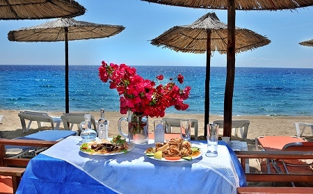 ТОРОНИ, СТУДИЈА И АПАРТМАНИ