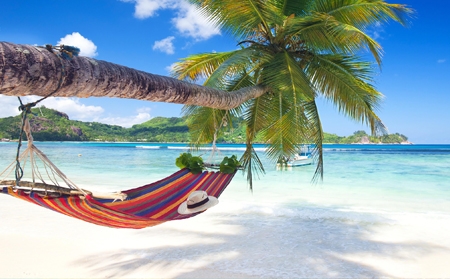 АПАРТМАНИ ОСТРОВИ